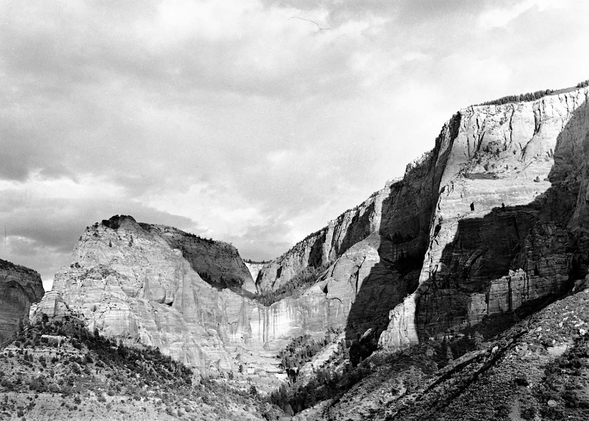 Timber Creek (Timber Top) with Navajo sandstone cliffs at head of drainage.