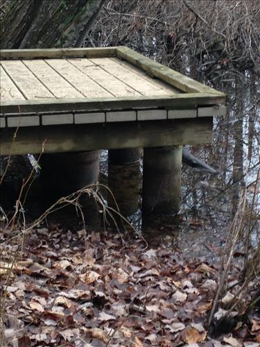Mammoth Cave Sloans Pond Boardwalk