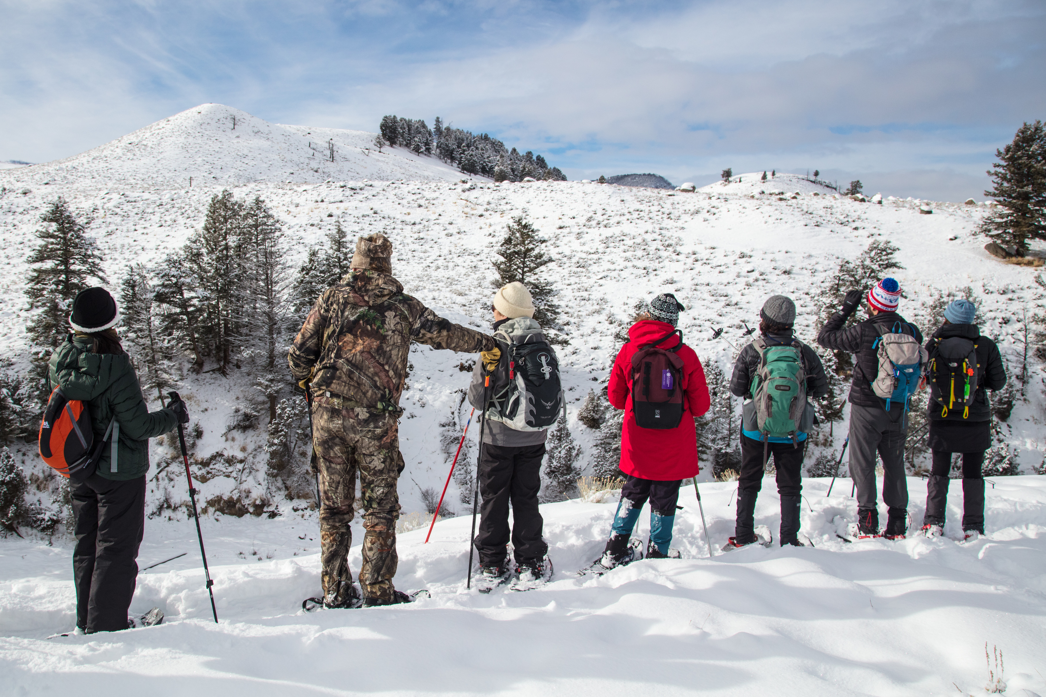 Seven people with snowshoes on standing in a line looking out over a valley with a hill in the background