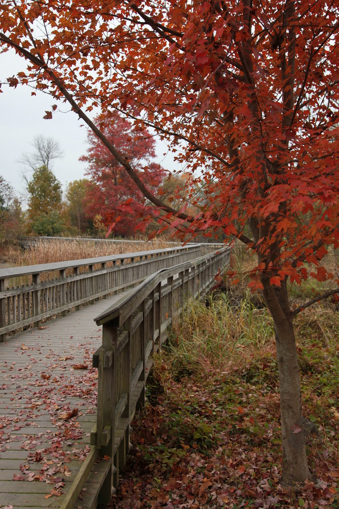 Color Walk
