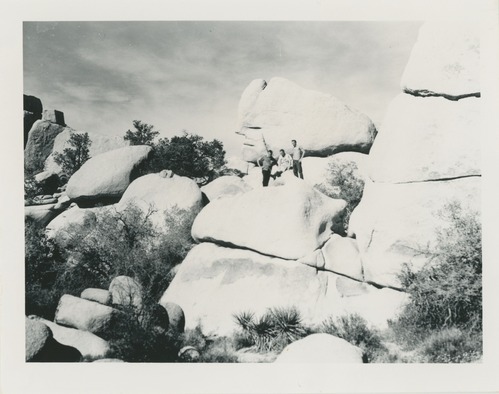 Black and white image of Stone Face
