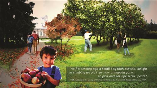 Roosevelt Home Garden Planning