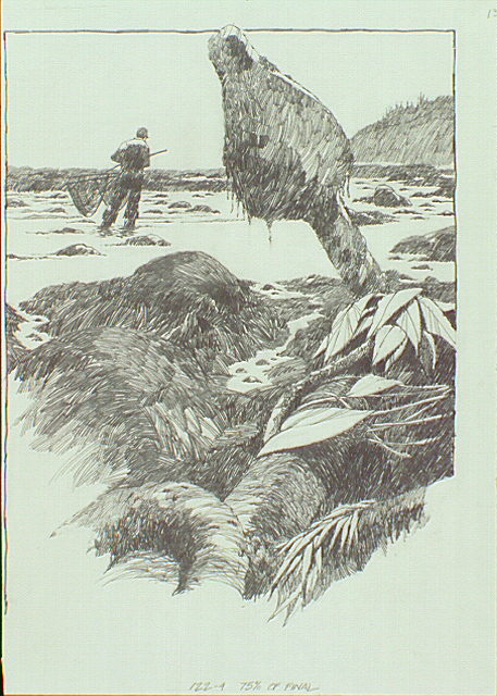 Kalalock Beach 4 scene at Olympic National Park showing an anchor from a shipwreck and a fisherman.