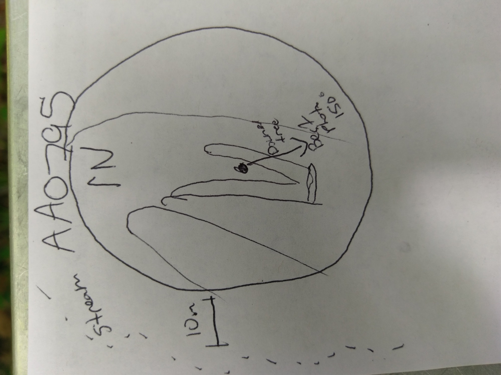 GRSM Accuracy Assessment. Plot Code: GRSM_AA_0795_7