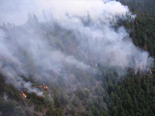 Images of the Comb Complex wildland fire use project taken from park helicopter, Sequoia and Kings Canyon National Parks, summer 2005
