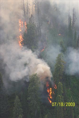 Views of Trapper Fire, Glacier National Park