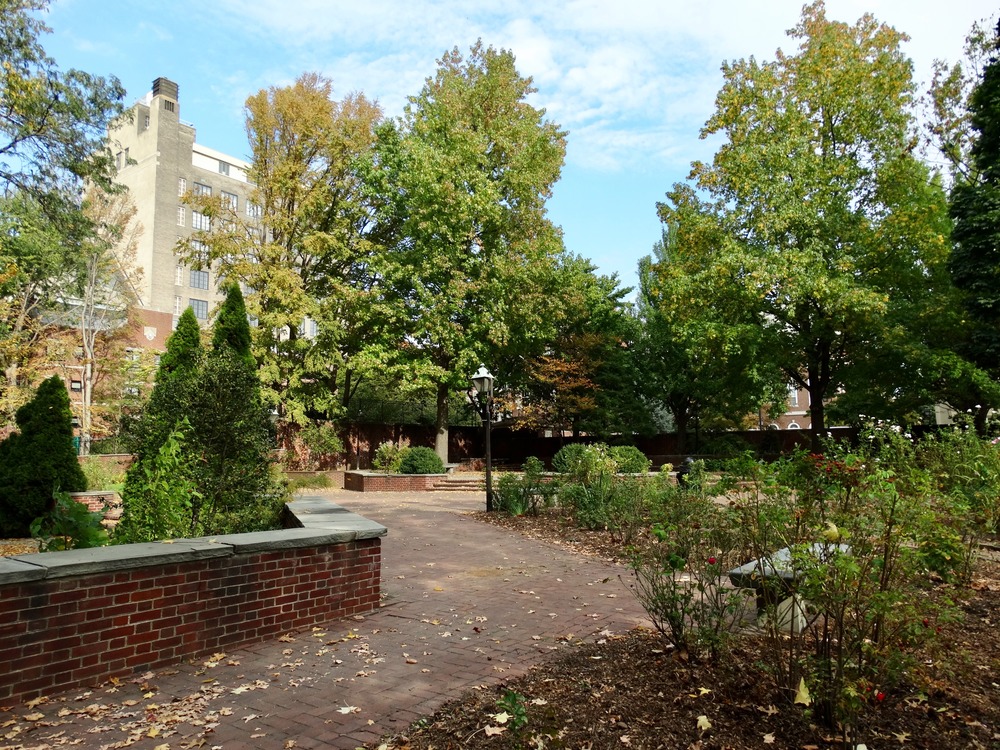 Color photo of brick walkway surrounded by rosebushes and trees.