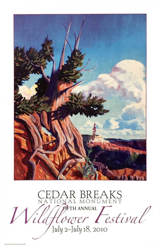 2010 Wildflower Festival Poster