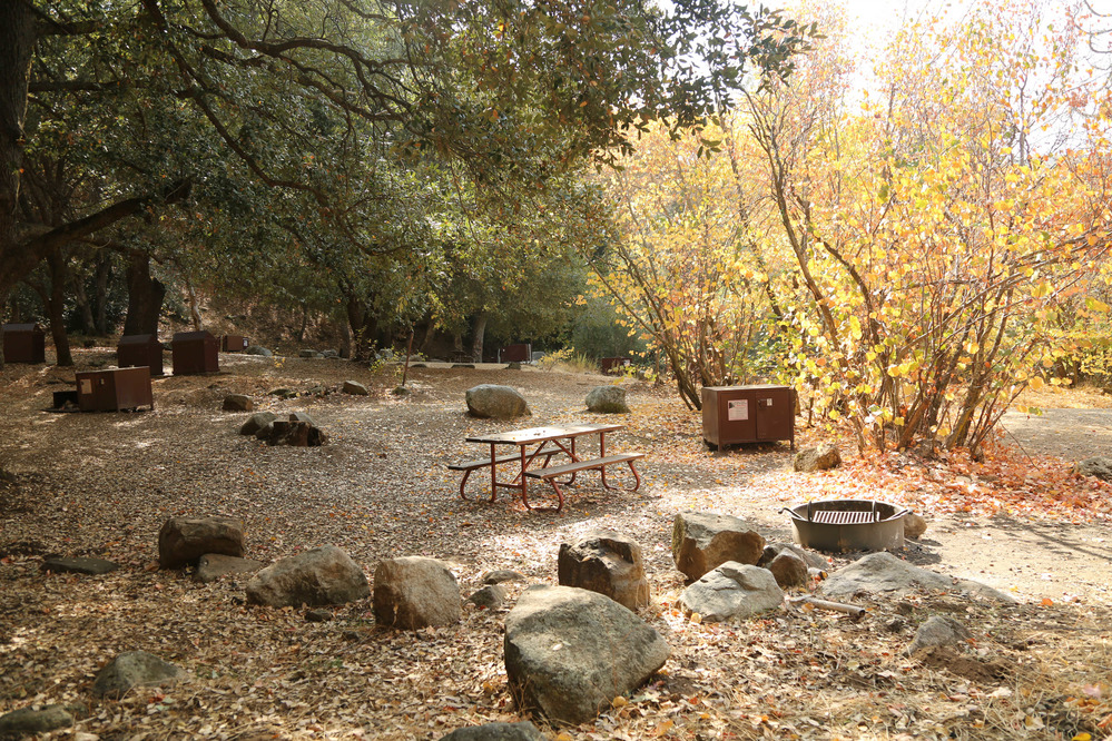 Partially shaded campsite