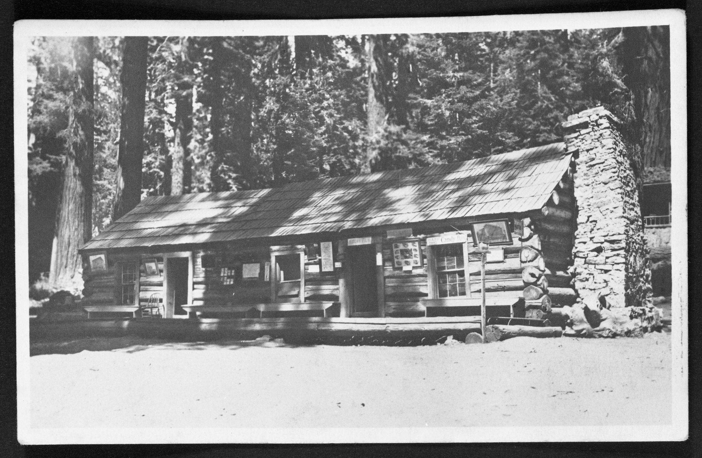 Mariposa Grove Cabin. Old Cabin in Mariposa Grove. [Illegible handwriting].