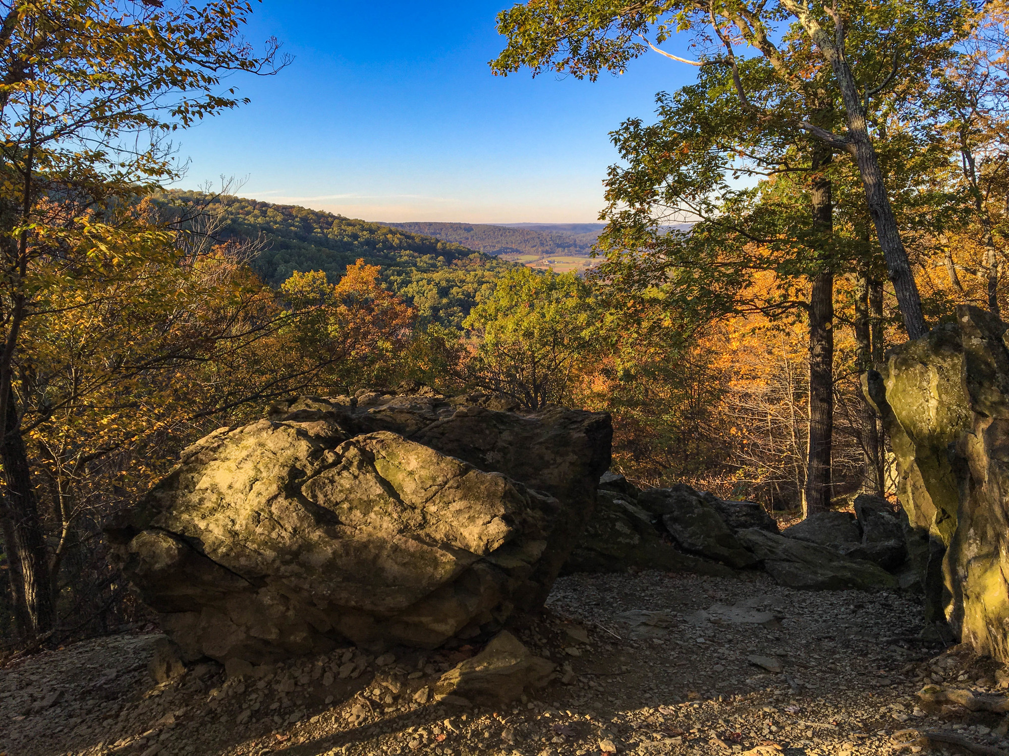 Trail through the woods with a view of mountains