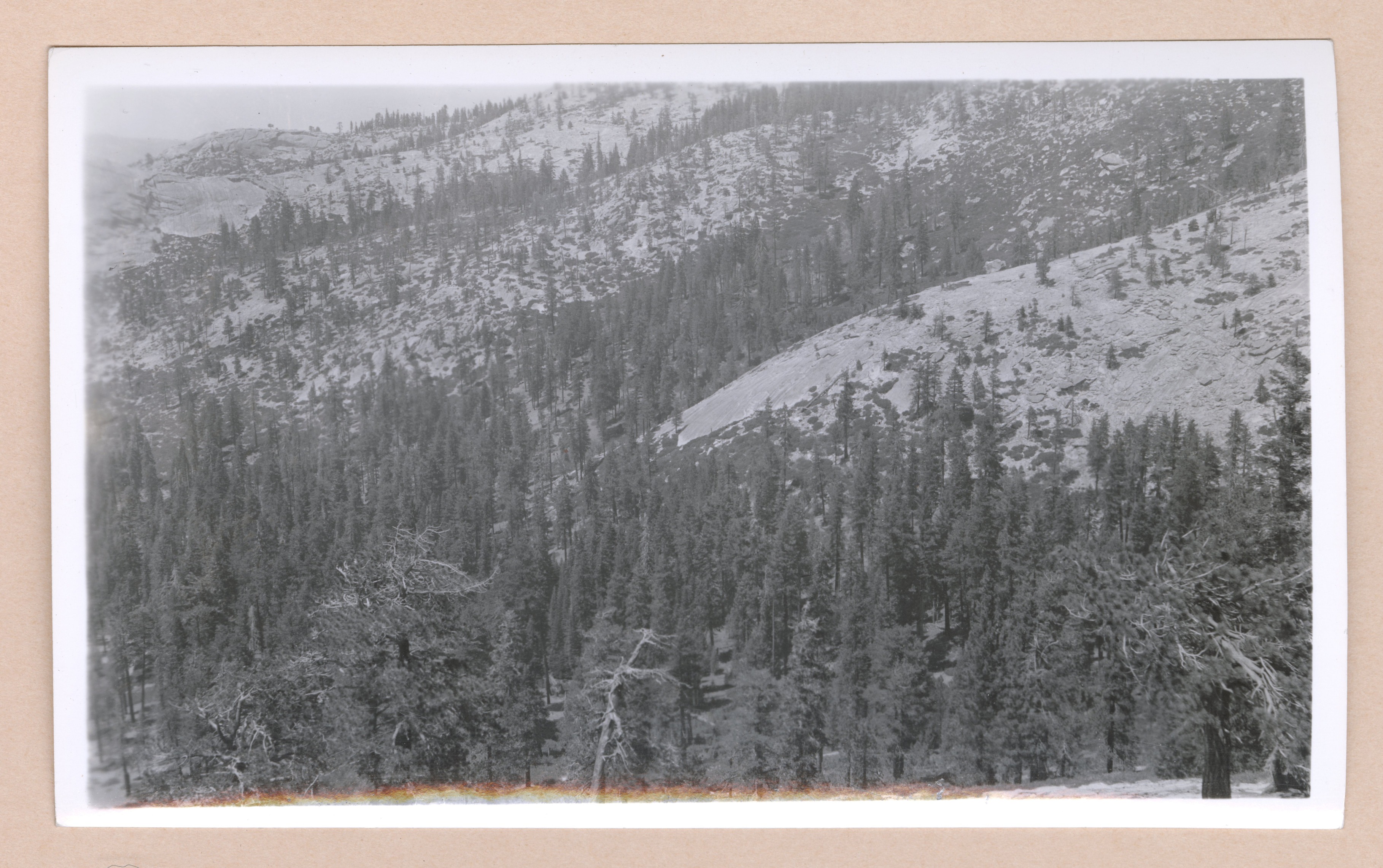 JW in draw; J-ApQv semi-barren on ridges, Sec 12, T3s, R22E, El 8000