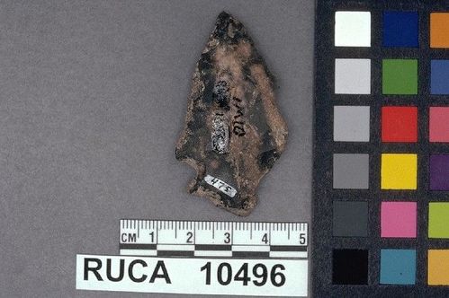 RUCA   10496 -- Point, Projectile