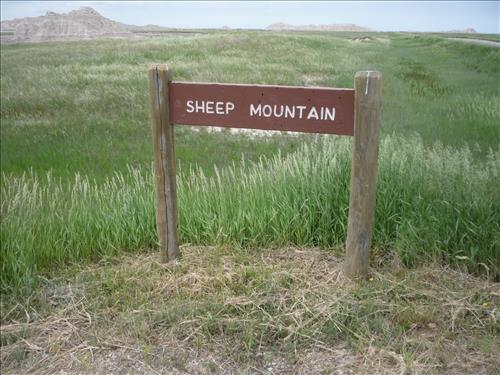 BADL_Sheep_Mountain_Road-South Unit-01