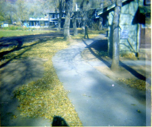 The utilities project at Zion Lodge.