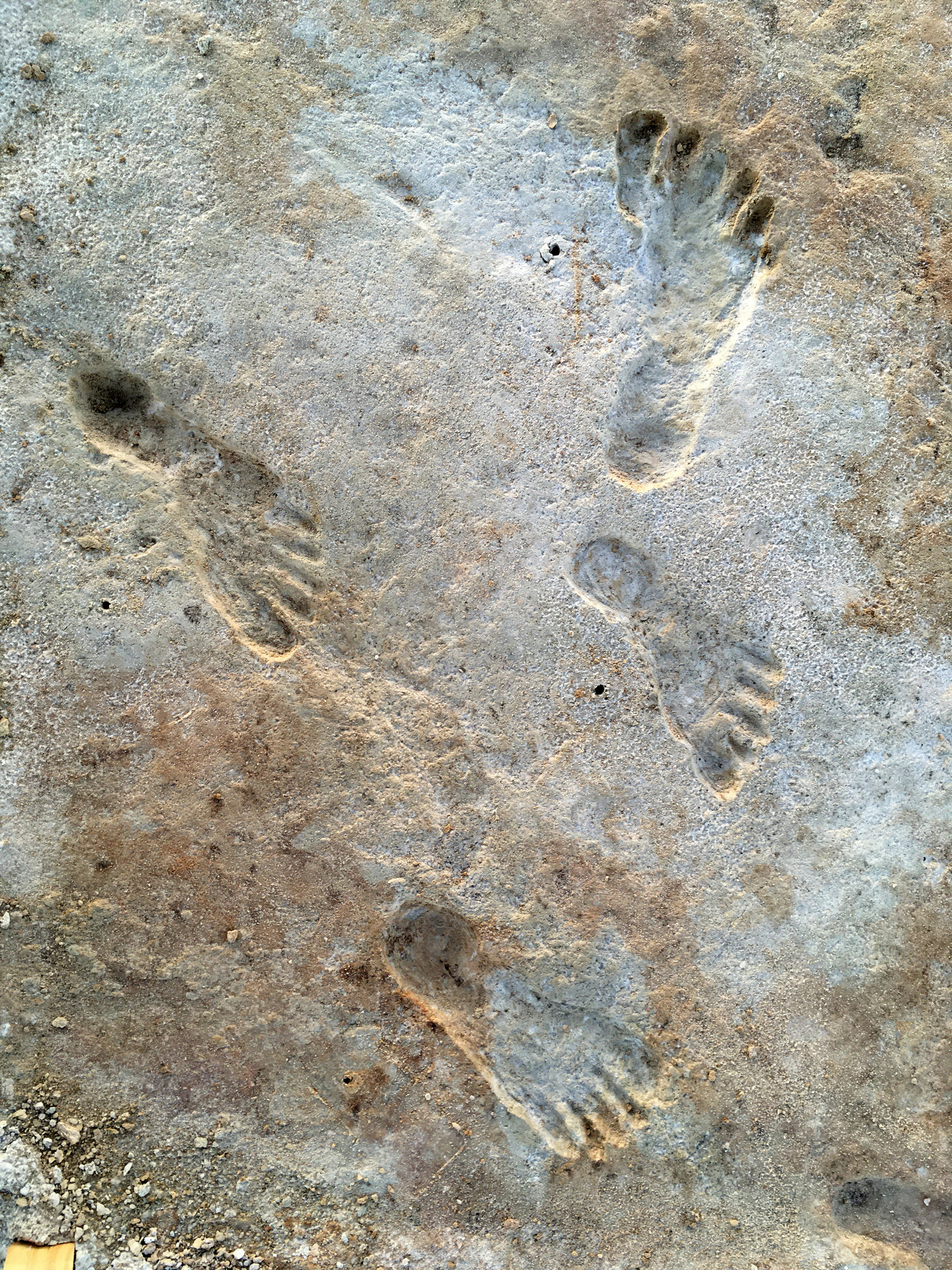 Aerial of four fossilized human footprints embedded in the gypsum sediment. 