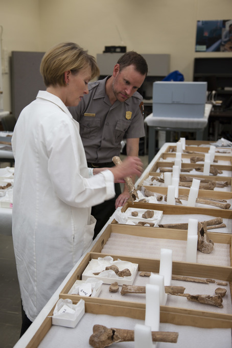 Brandon Bies and Kari Bruwelheide inspect bone