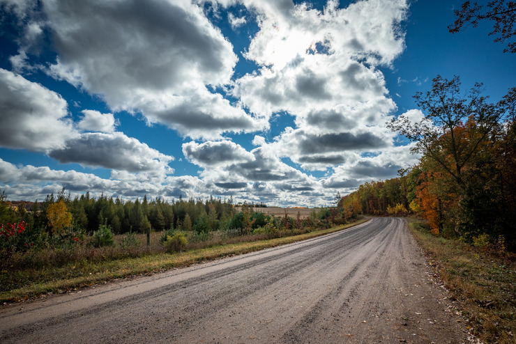 Photograph of dirt road leading through a forest autumn landscape under a partly cloudy sky. 