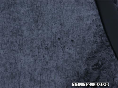 1 Yukon-Charley Rivers National Preserve Moose Survey November 2006