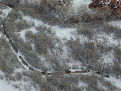 Exotic Species Removal Planning at Canyon de Chelly National Monument, Chinle, AZ - View at Sliding House Overlook