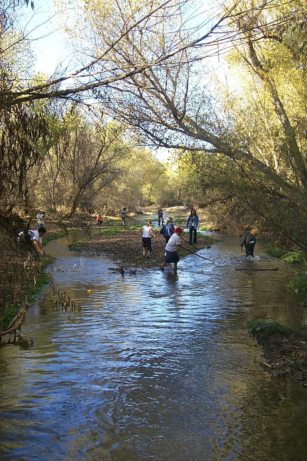 Kids in the river, duck race