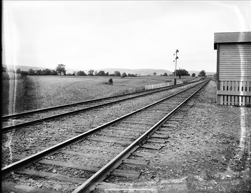 C4294-C4308--Willow Point, NY [Two miles west of Johnson City, NY] [1917]