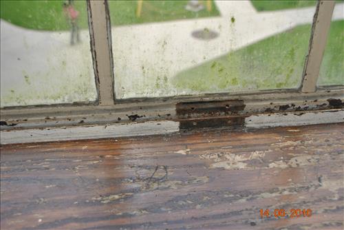 Adminstration Building Window Restoration Phase I and II - Xavier University of Lousiana