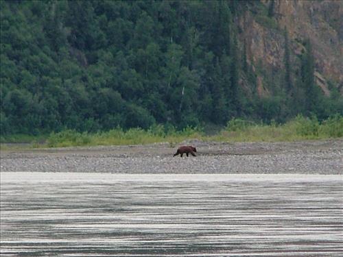 14 Yukon-Charley Rivers National Preserve Peregrine Falcon Survey July 2006