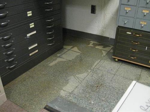 GRSM Proposed Curatorial Building