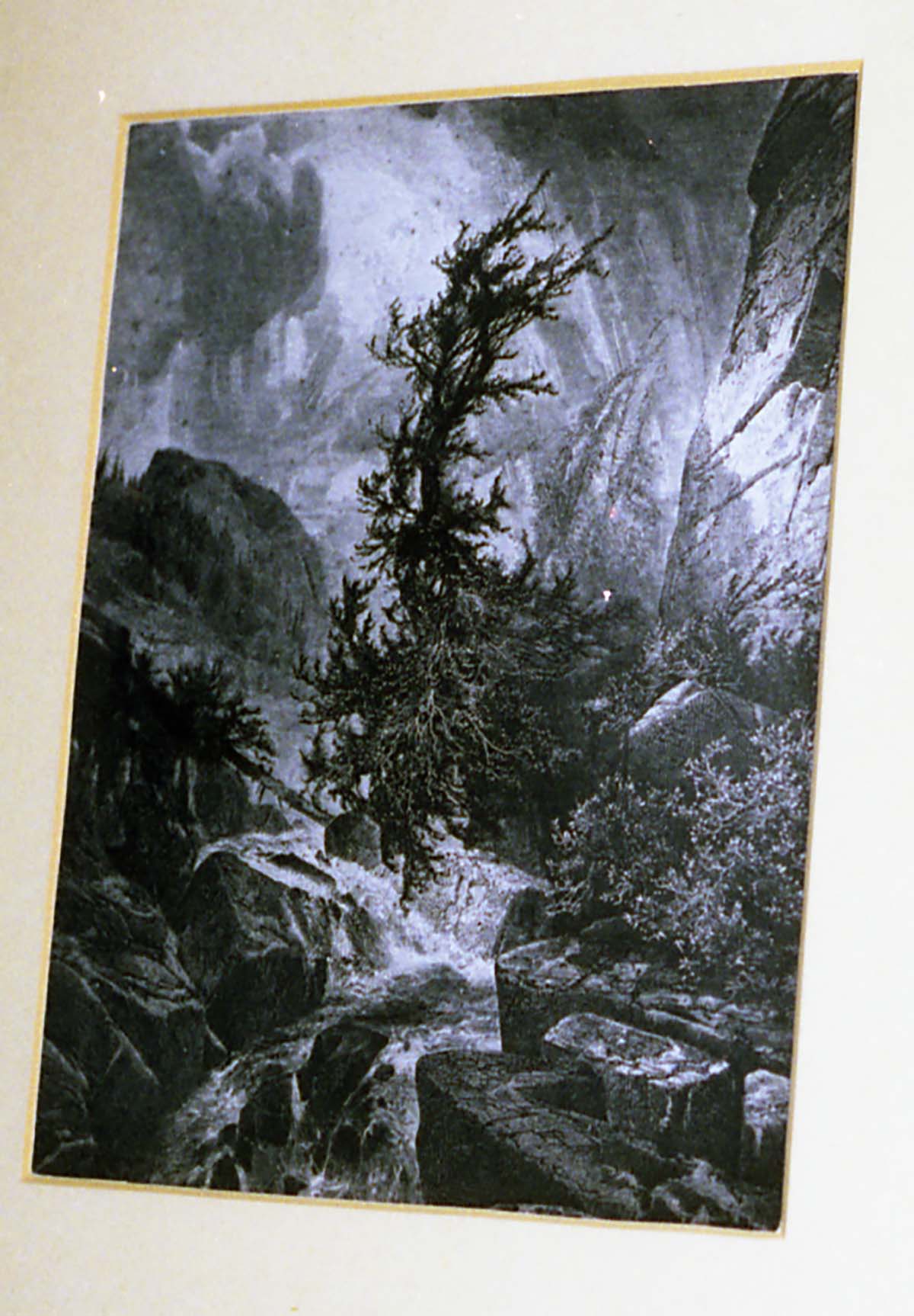 Color Photos of a temporary art exhibit.