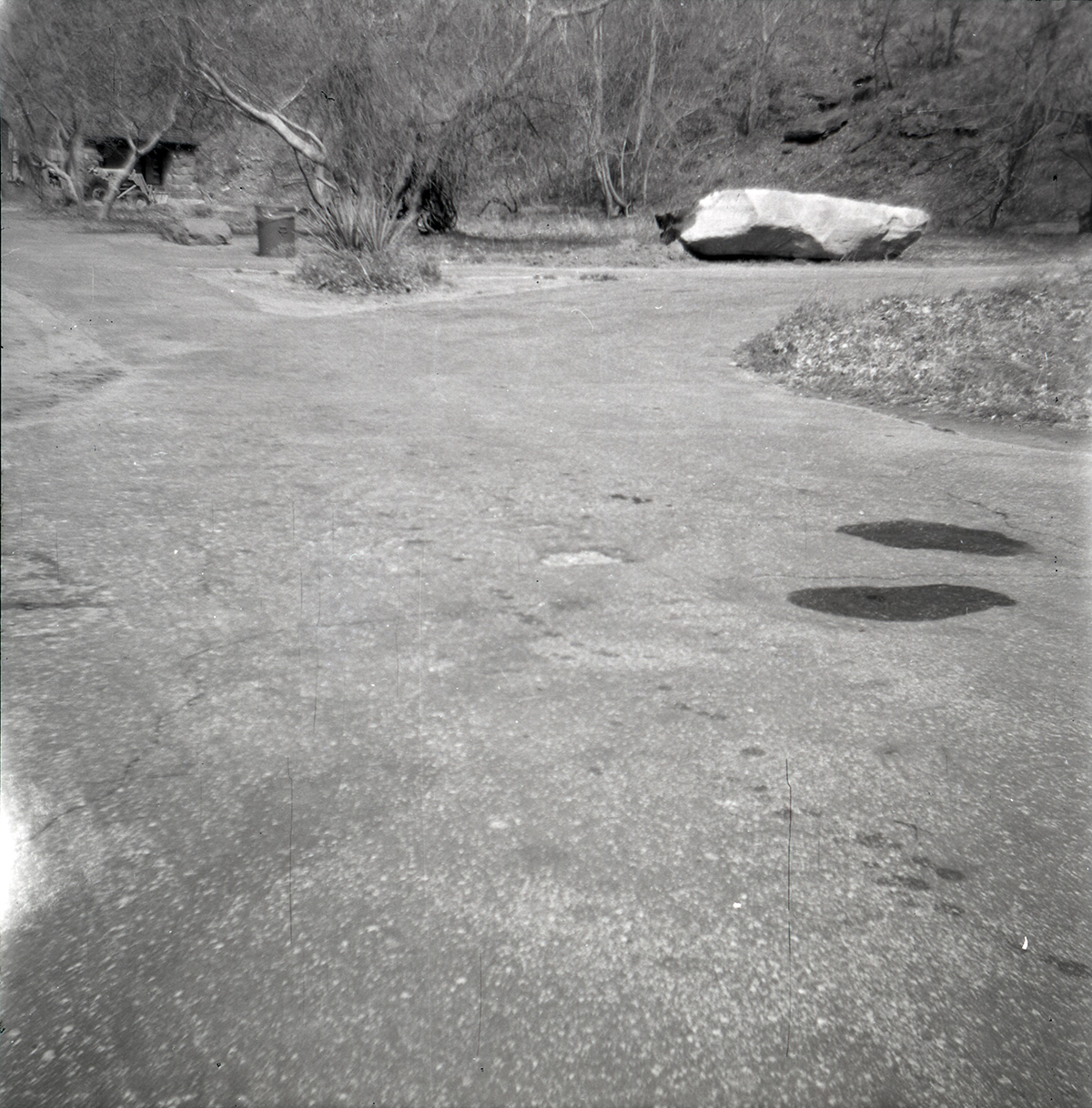 Fork in the road near the Temple of Sinawava.