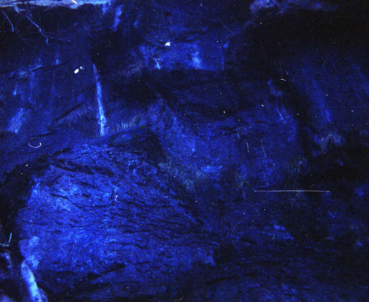 Color Photos of seeps and springs in Zion.