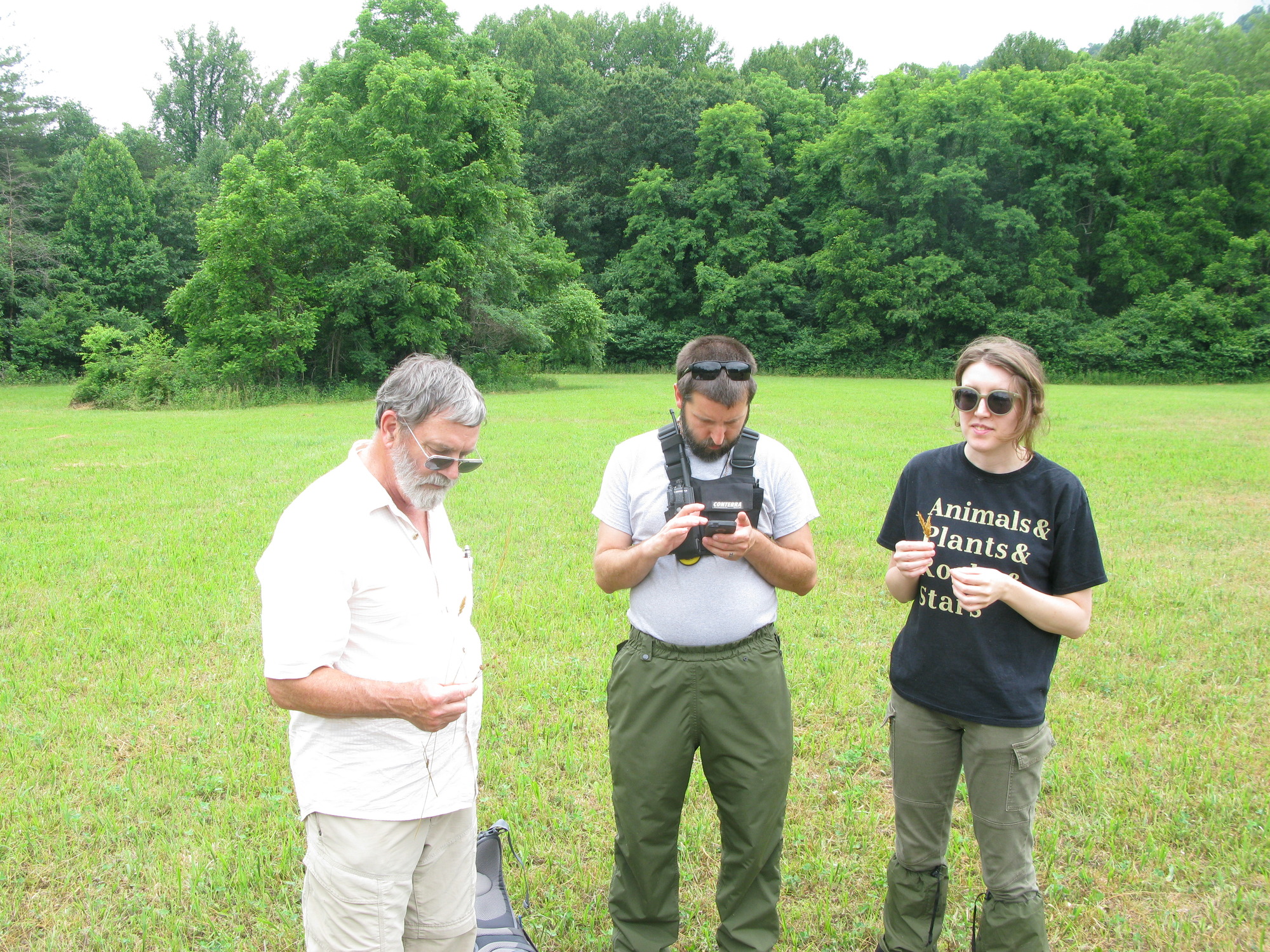 GRSM Accuracy Assessment. Plot Code: GRSM_AA_0896_6