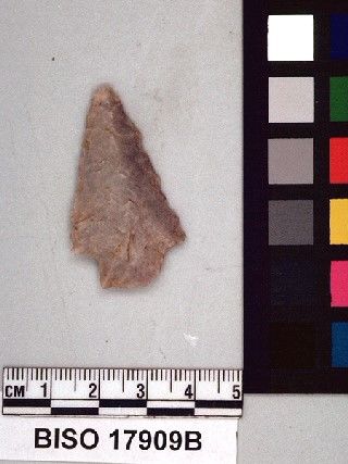 BISO   17909 -- Point, Projectile