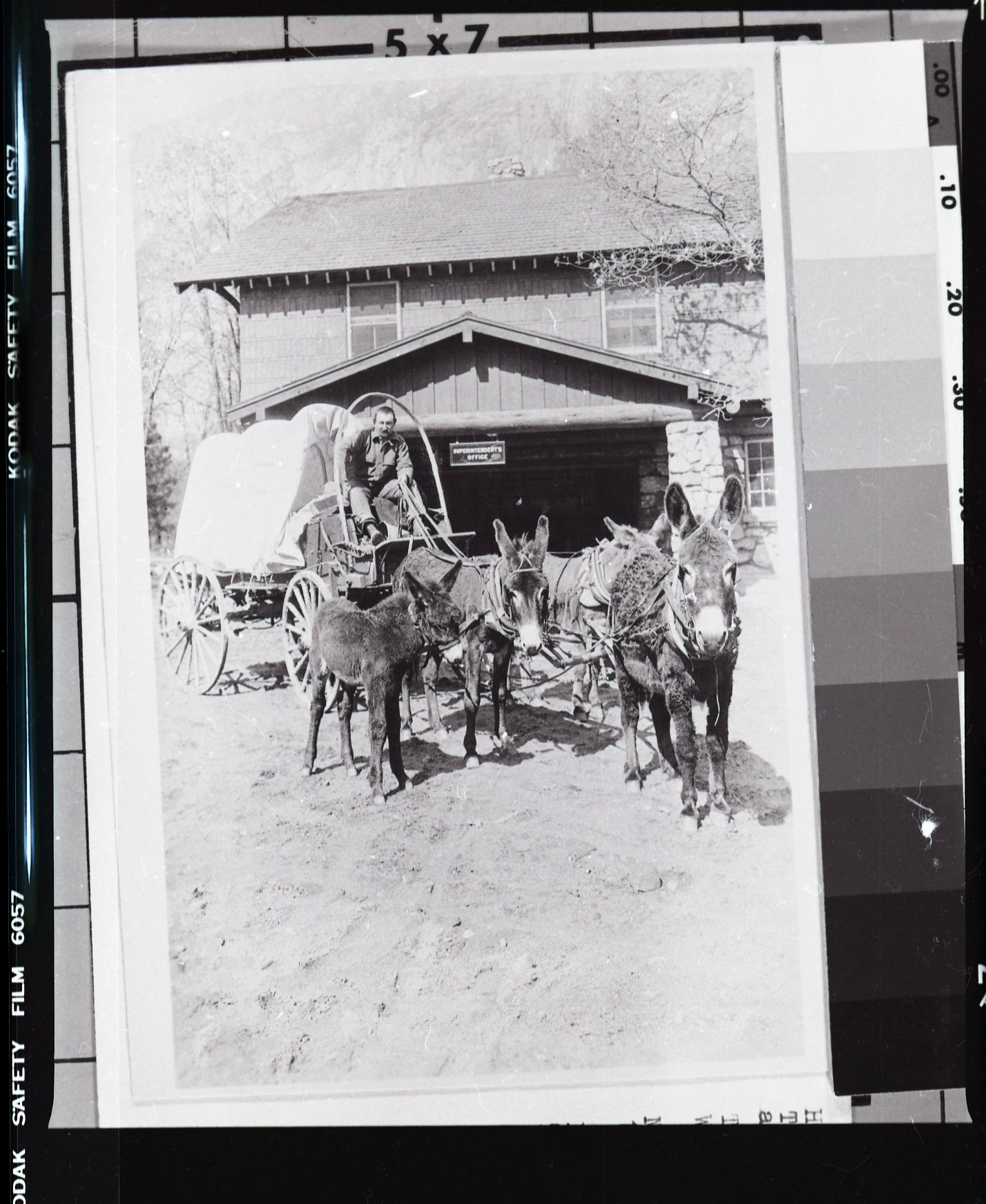 The Covered Wagon - 1925. copied 1984