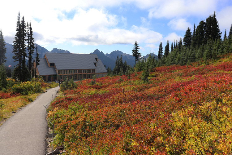 A meadow filled with gold, orange, and red foliage in front of a visitor center. 
