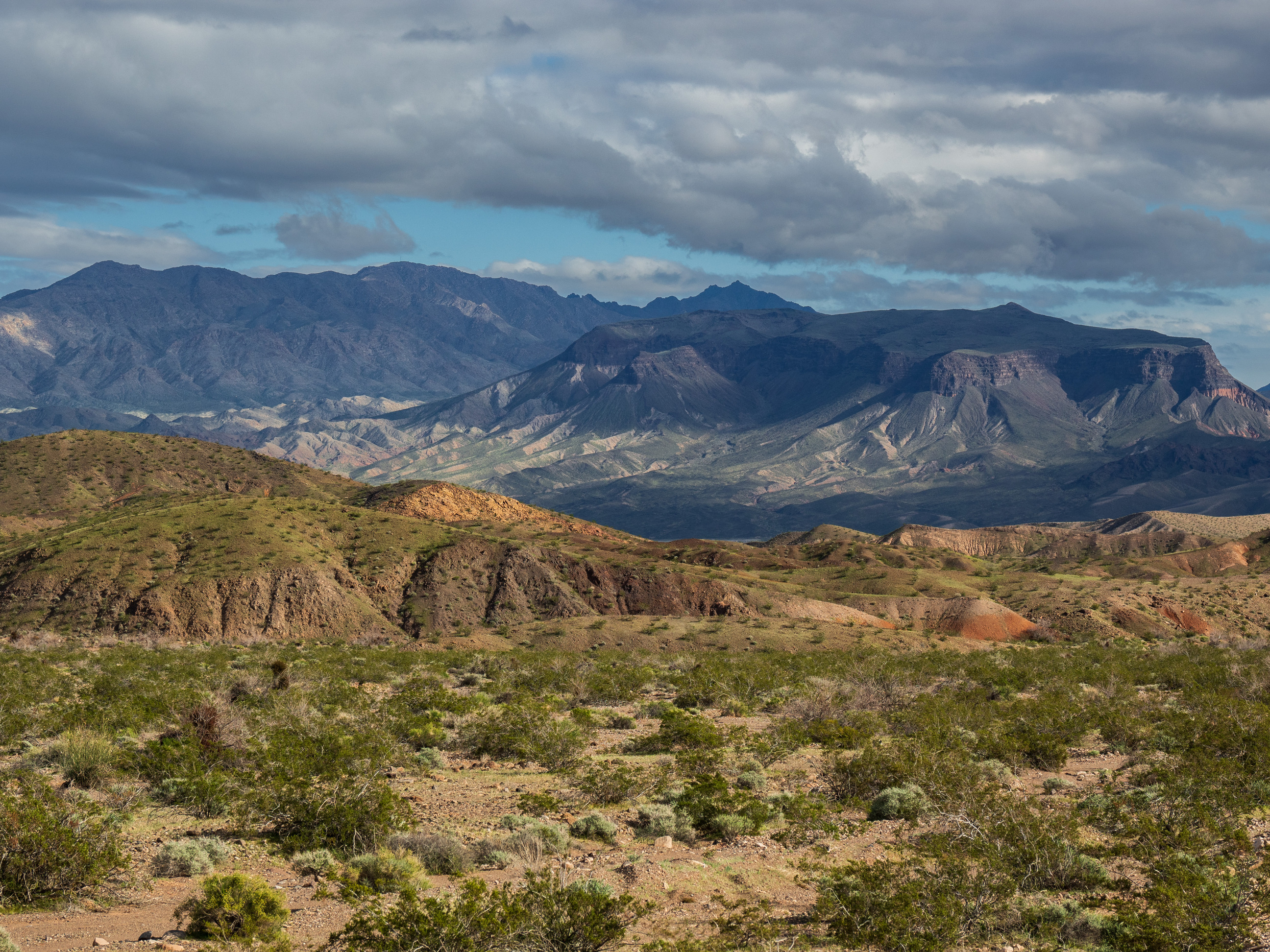 foliage foreground, desert hills mid, mountains and sky in distance