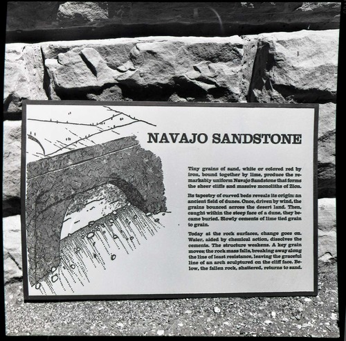 BW Photos of trailside exhibits.