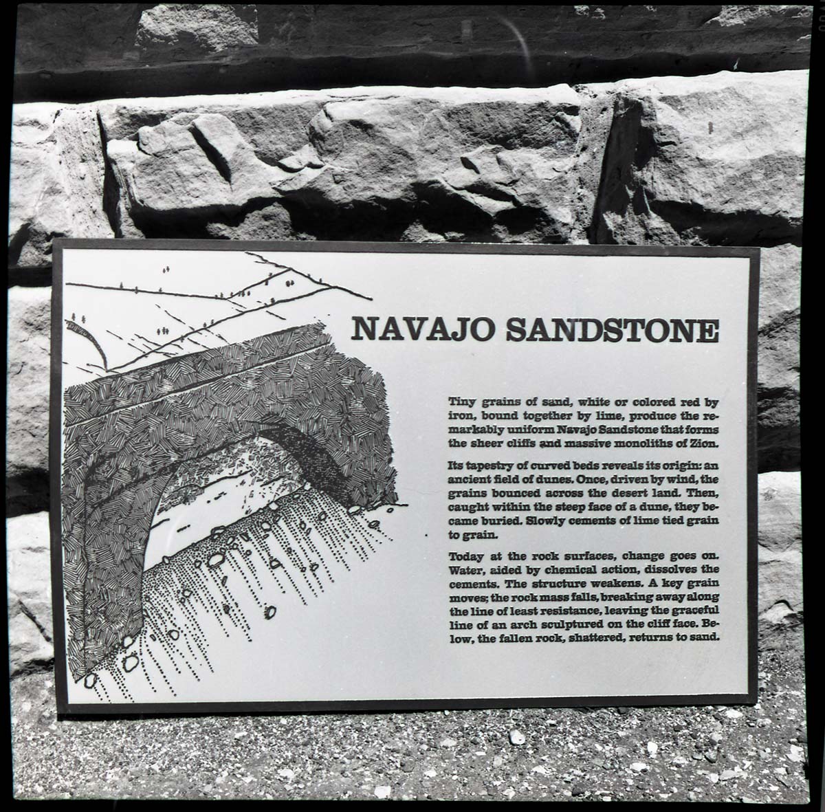 BW Photos of trailside exhibits.