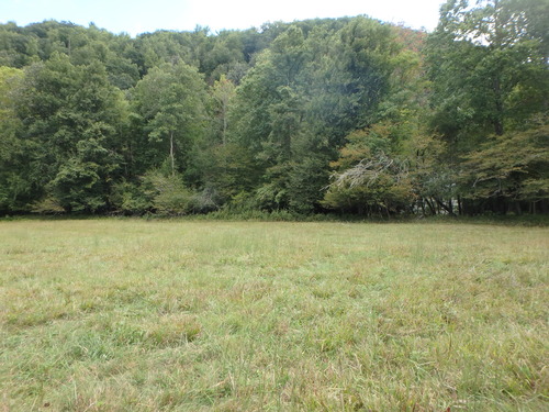 GRSM Accuracy Assessment. Plot Code: GRSM_AA_0093_4