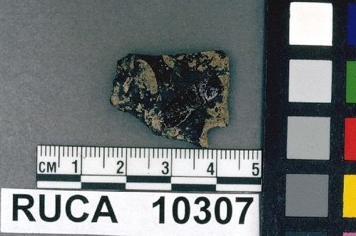 RUCA   10307 -- Point, Projectile