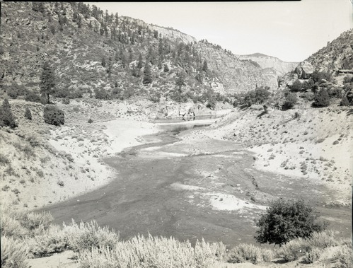 Water use in Hop Valley: irrigation, improper land use, and overgrazing to refute water diversion rights claim under grazing permit.