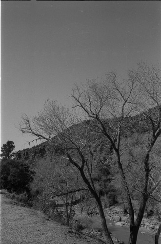 BW Photos of Zion Canyon. 35mm.