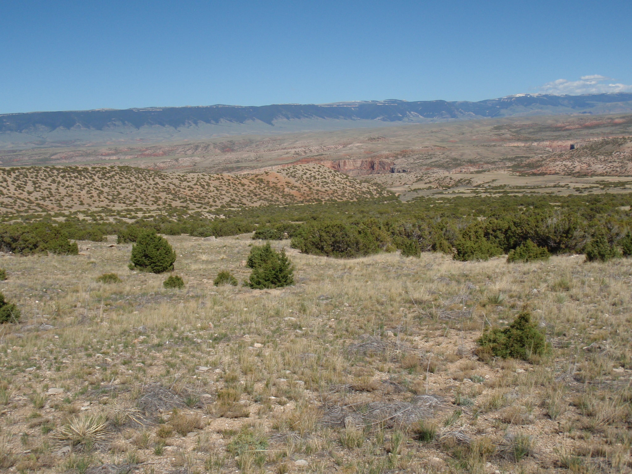 Image of the vegetation and landscape at photo point in Bighorn Canyon NRA 