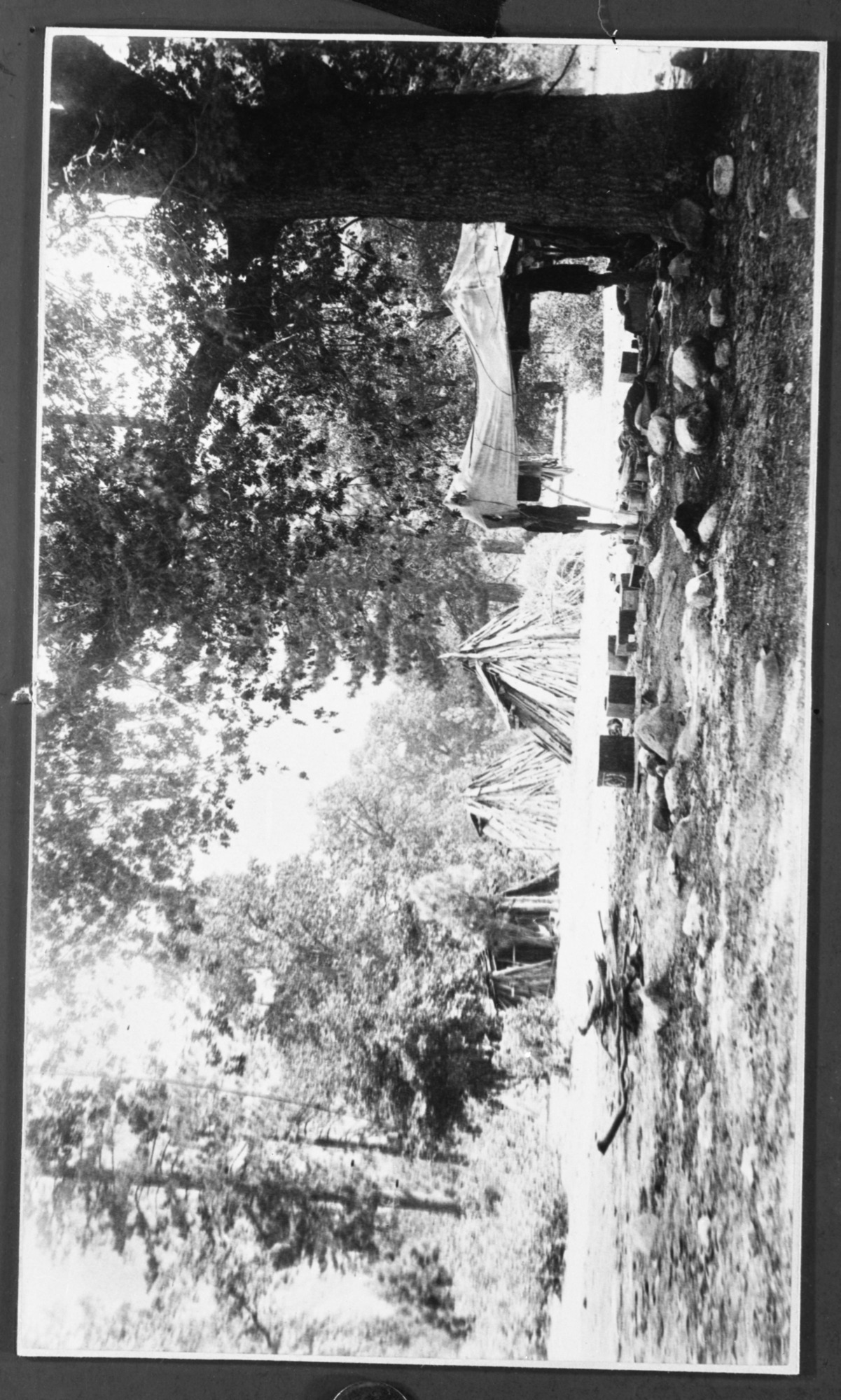 Um-a-chas Native American Village in Yos. about 1887; Original by Fiske #6569; Copied by: RHAnderson 4/41; Eagle Creek Camp of Sally Anne, Capt. Paul etc. Later moved to Yosemite Creek Near Lodge.