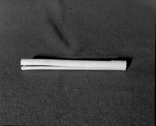 Marie Rozier Collection, Catalog No. 182. Object: Miwok clapstick rattle. Dimensions: 9". Materials: Elderberry. Collection History: Made by John Kelly 1968. Photographed by Michael Dixon in December 1982. Catalogued by Craig Bates and Barbara Beroza. Yosemite Collections, National Park Service.