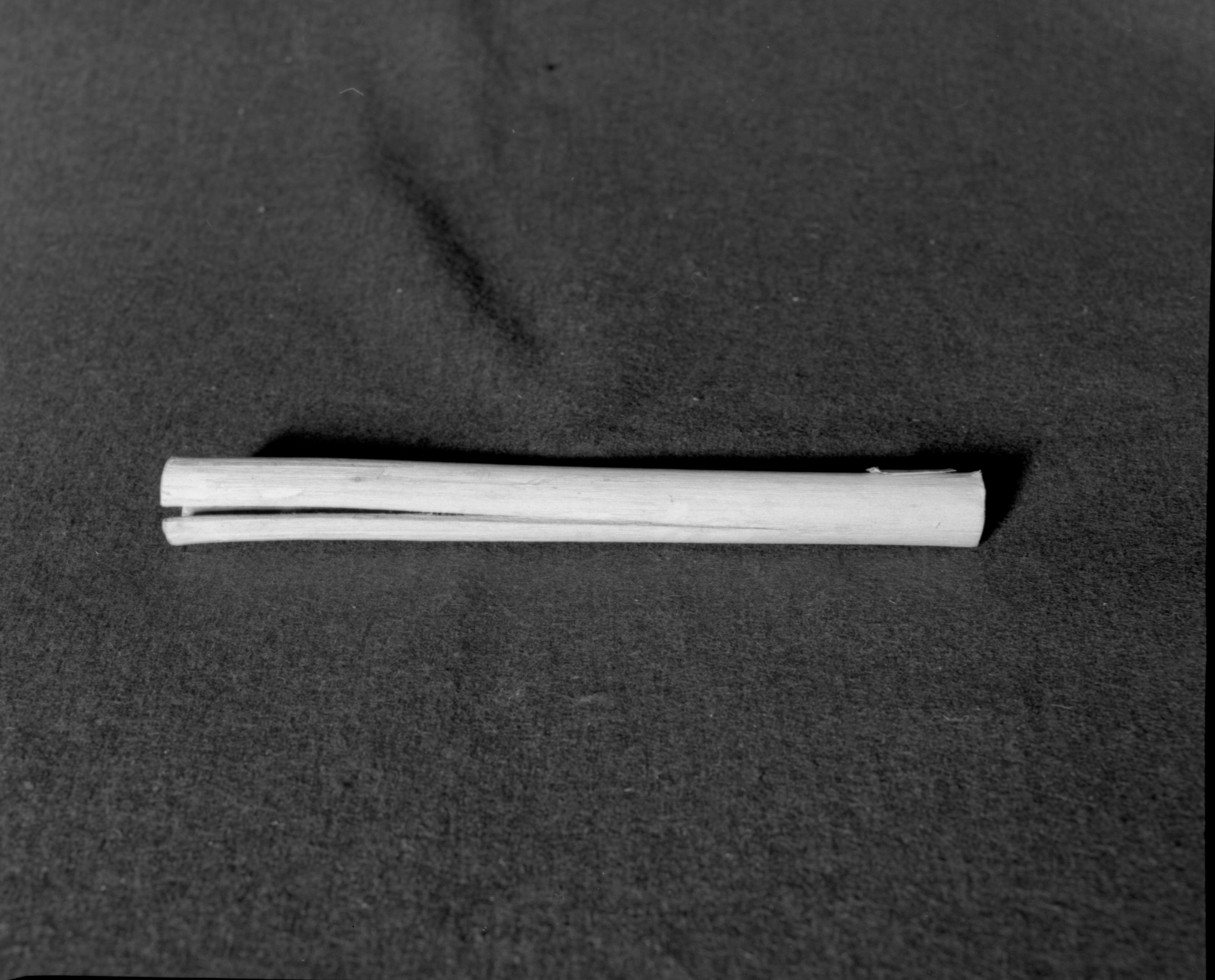 Marie Rozier Collection, Catalog No. 182. Object: Miwok clapstick rattle. Dimensions: 9". Materials: Elderberry. Collection History: Made by John Kelly 1968. Photographed by Michael Dixon in December 1982. Catalogued by Craig Bates and Barbara Beroza. Yosemite Collections, National Park Service.