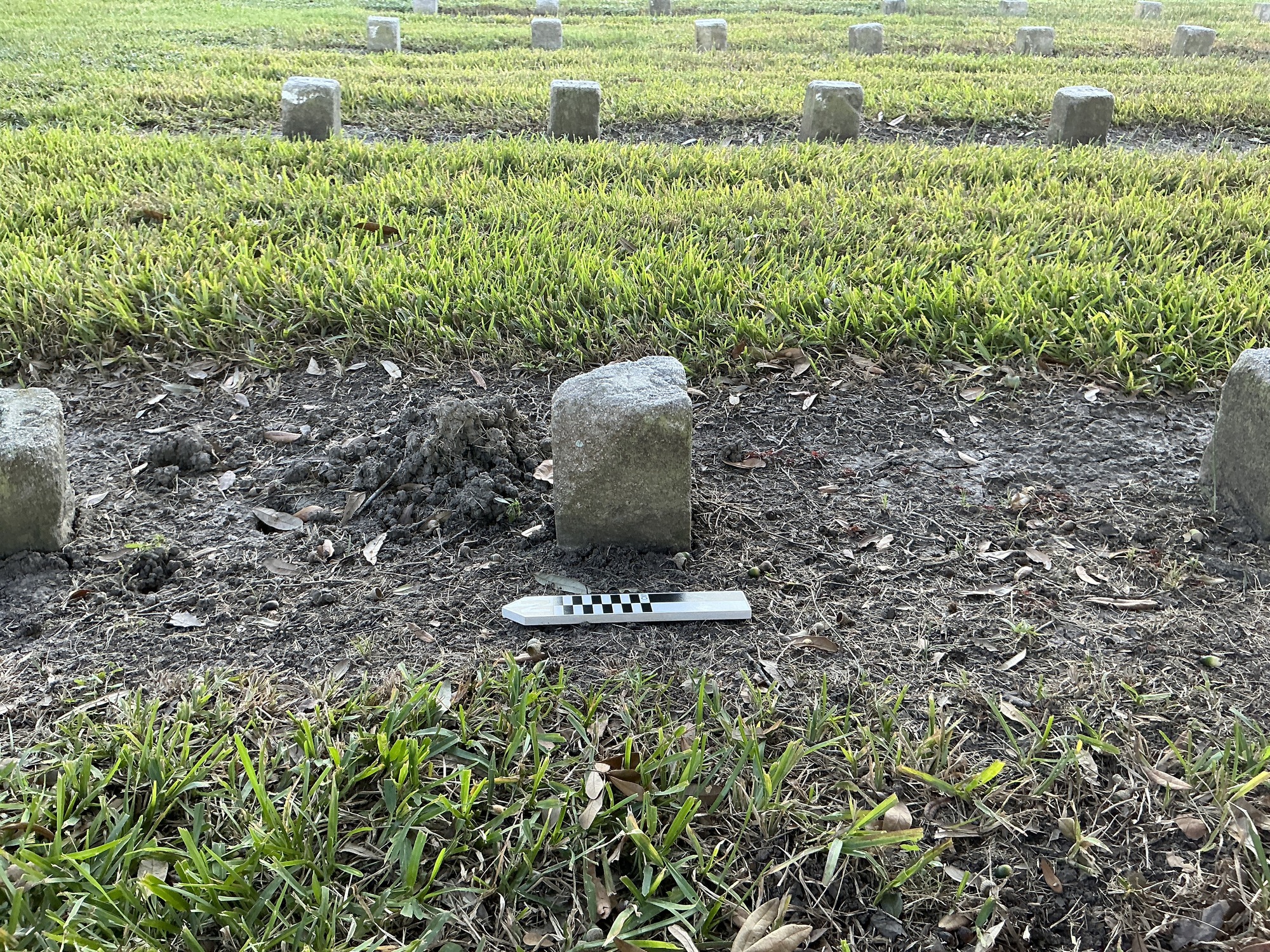 Extra image of flat marble marker