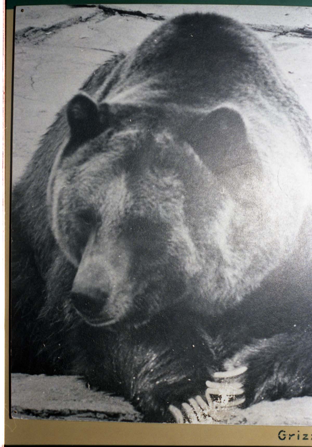 Color Photos of the old visitor center exhibits.