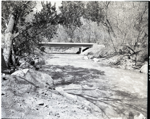 Virgin River Bridge near South Entrance.
